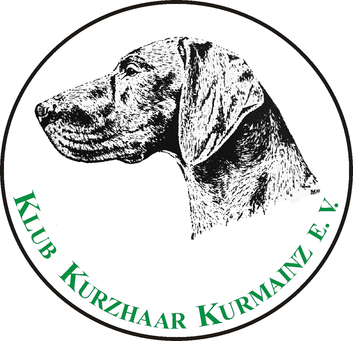 Klub Kurzhaar Kurmainz 